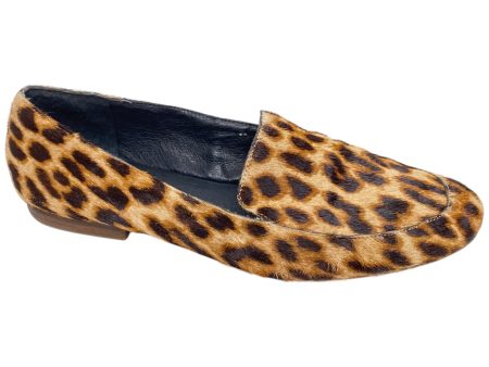 Shoes Flats By Gianni Bini In Animal Print, Size: 8.5 Online now