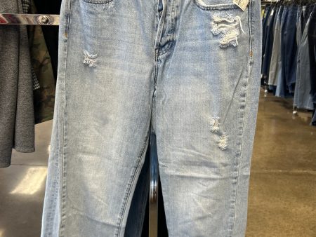 Jeans Straight By Pistola In Blue Denim, Size: 10 on Sale