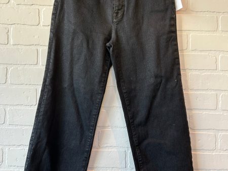 Jeans Straight By Hudson In Black Denim, Size: 4 For Discount