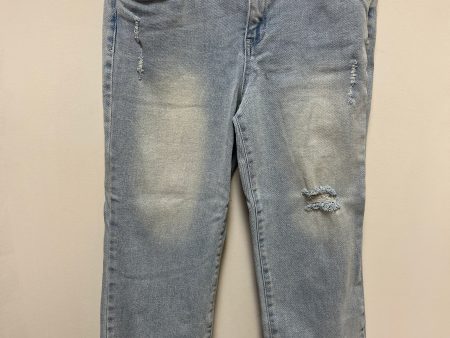 Jeans Straight By Democracy In Blue Denim, Size: 12 Discount