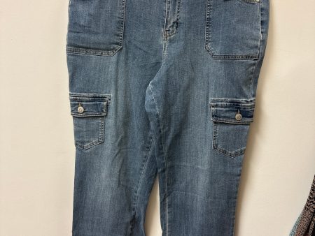 Jeans Skinny By Cato In Blue Denim, Size: 16 Online Sale