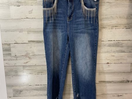 Jeans Straight By Risen In Blue Denim, Size: 1x For Sale